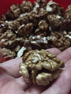 Óc chó tươi