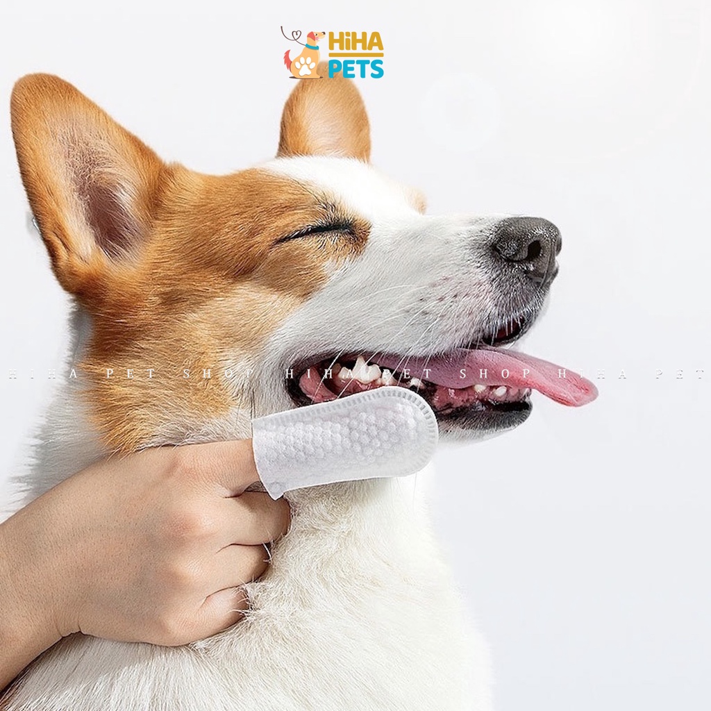 Khăn Lau Răng Cho Chó Mèo, Vệ Sinh Răng Miệng Cho Thú Cưng Chiết Xuất Trà Xanh Khử Mùi Sạch Răng Thơm Tho
