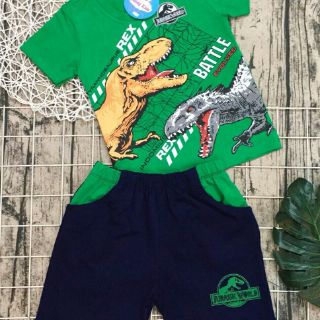 Bộ cotton khủng long bé trai