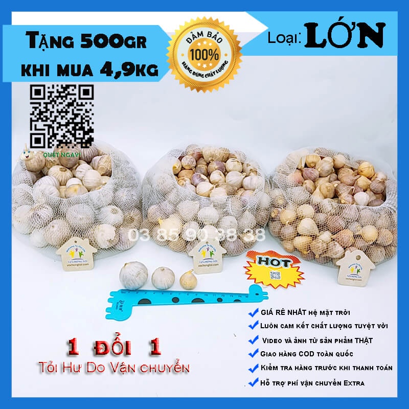 500 gr tỏi cô đơn Việt Nam loại LỚN ngon lành, loại 1 nhánh Hải Dương bón phân sinh học