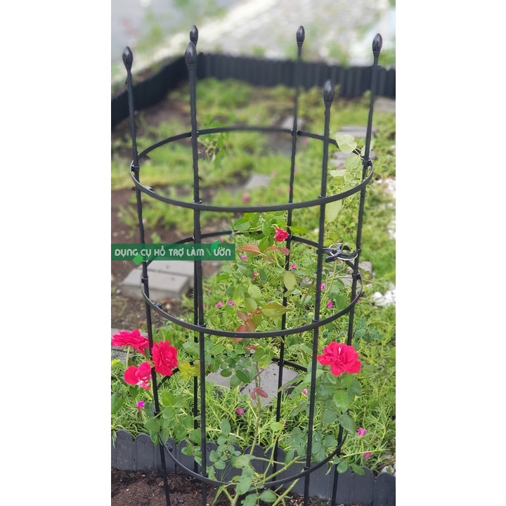 Khung tròn cao 120cm đường kính 40cm chuyên dùng trồng cây leo trong chậu