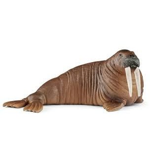 Mô hình Sư tử biển SCHLEICH 14803