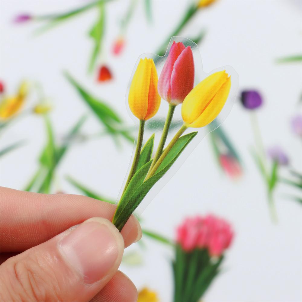 Sticker Dán Trang Trí Hình Hoa Và Cầu Vồng