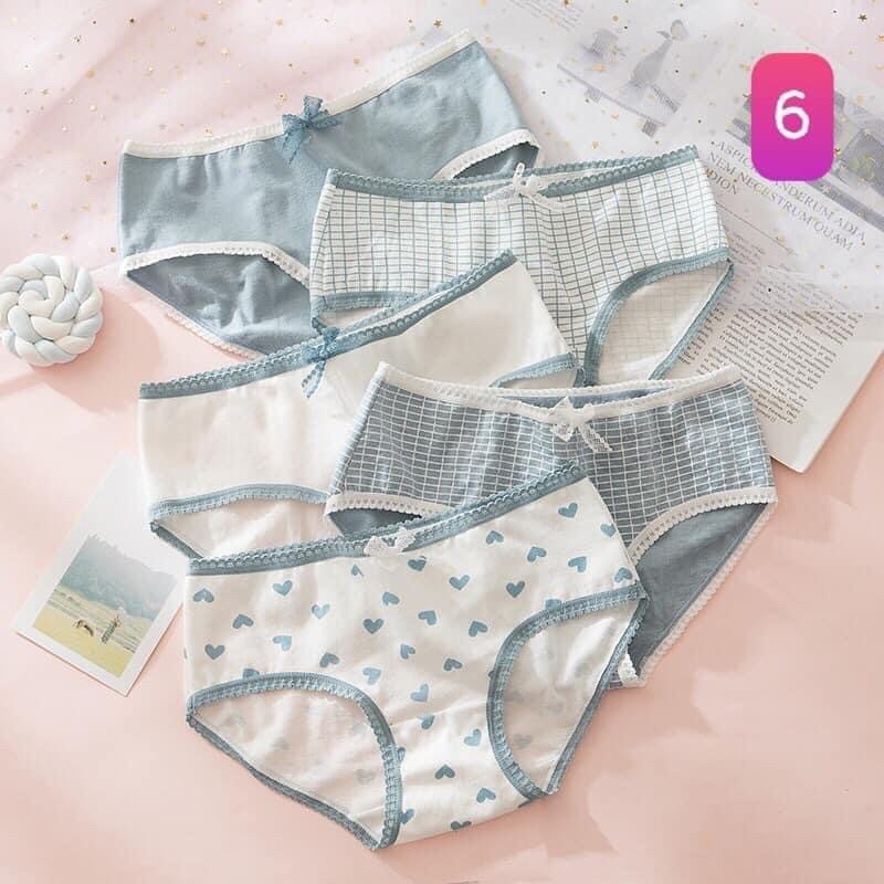 set quần chip cute | BigBuy360 - bigbuy360.vn