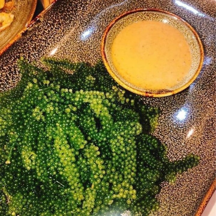 Nước xốt mè rang Kewpie 50ml - nước xốt salad, nước chấm cho các món ăn - Tomchuakids