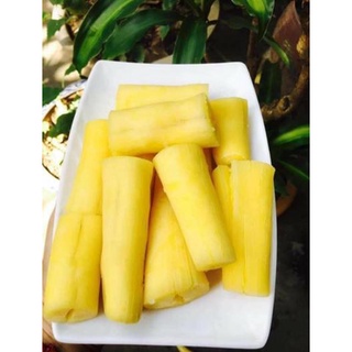 Cây giống khoai sắn ruột vàng