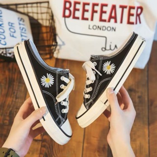 Giày sục hoa cúc mới