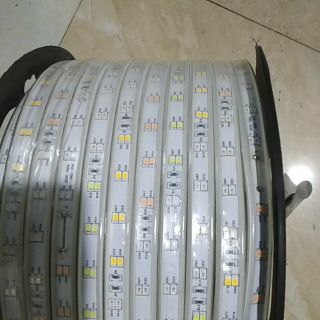 Nháy đuổi 2 hàng 2835 cuộn 100m