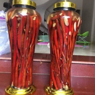 SÂM CAU ĐỎ 1KG HÀNG CHỌN CỦ TO