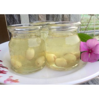 Hộp 12 hũ thủy tinh đựng yaourt 100ml