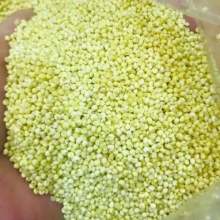 Kê nếp mới sát vỏ chuẩn Nghệ An