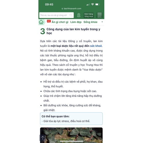 Set Canh Lan Kim Tuyến