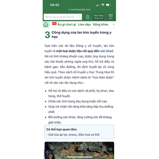 Set Canh Lan Kim Tuyến