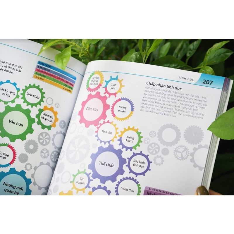 SÁCH - Bách khoa thư về phát triển kỹ năng - Tuổi dậy thì