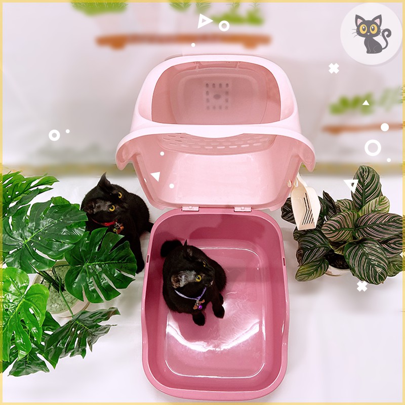 Nhà vệ sinh cho mèo hình thang