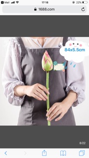 Hoa sen cao cấp giống thật