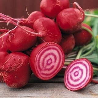 Hạt giống củ dền đỏ gói 2g cho năng suất cao