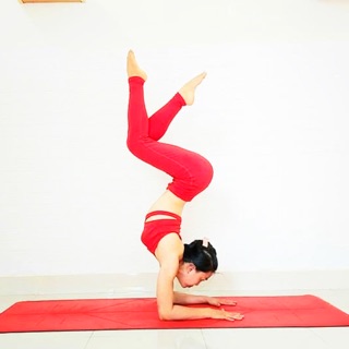 Set quần áo  tập yoga, gym, thể thao màu đỏ hiệu Yborn