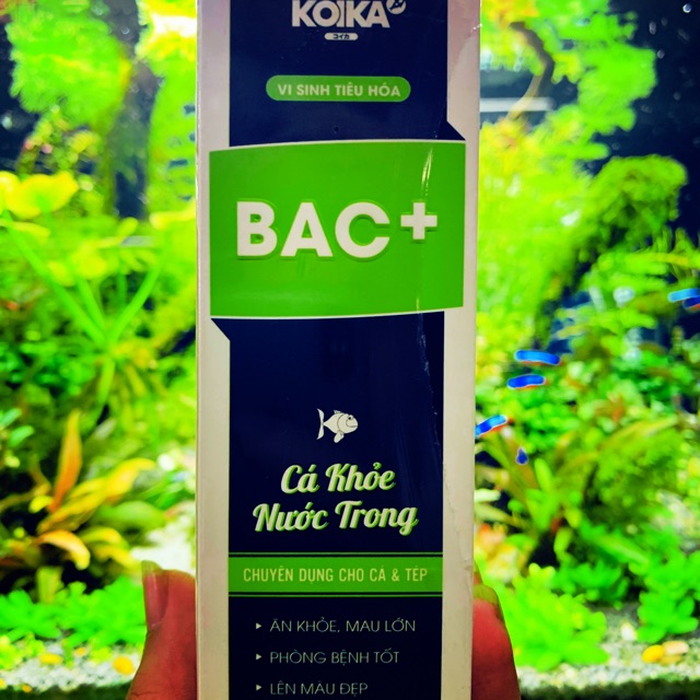 Vi sinh Koika BAC+