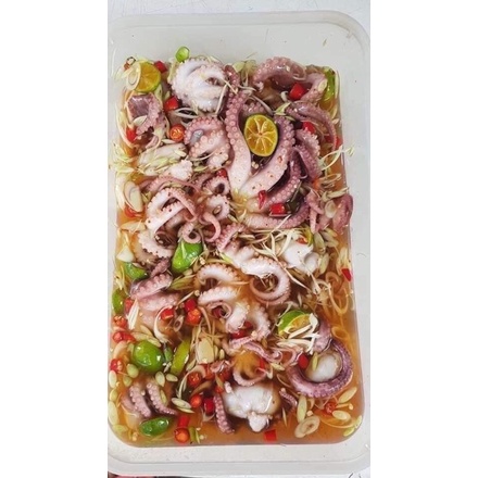 BẠCH TUỘC SỮA