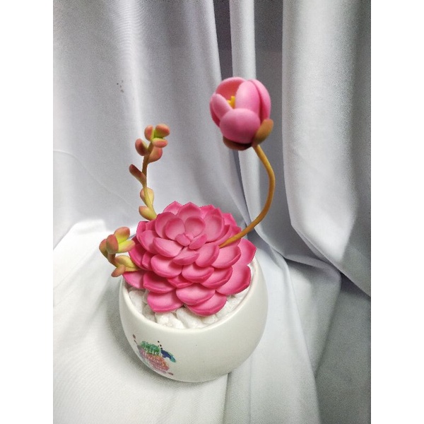 Chậu sen đá đất sét