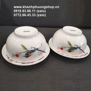 tô sứ - tô sứ trắng