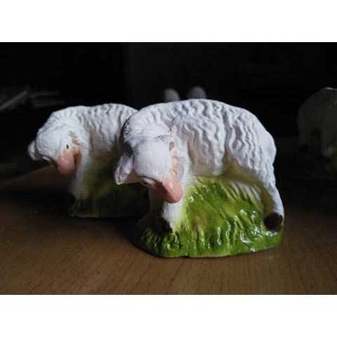 Cừu nhỏ Thạch Cao