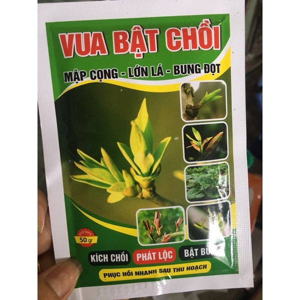 VUA BẬT CHỒI  LOẠI 1 gói 50gr chuyên kích Chồi, kích Lộc Bật Lộc