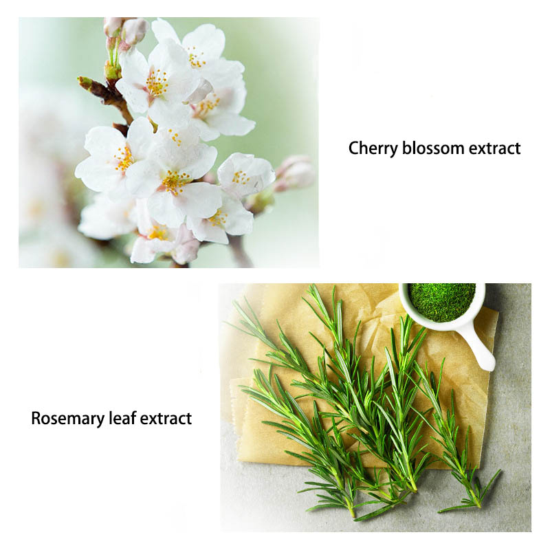 [Hàng mới về] Mặt Nạ Bùn Chiết Xuất Hoa Anh Đào Giúp Dưỡng Ẩm Và Kiềm Dầu Hiệu Quả