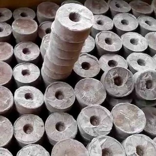 viên nén sơ dừa