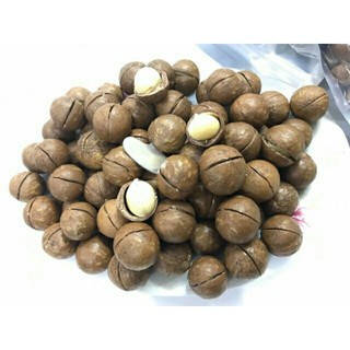 500g hạt mắc ca