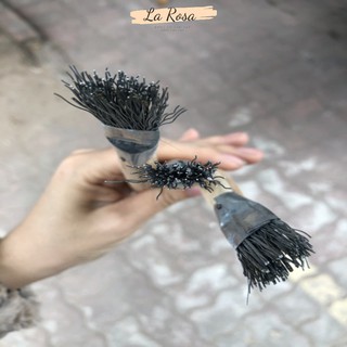 Cọ sắt đánh rỉ
