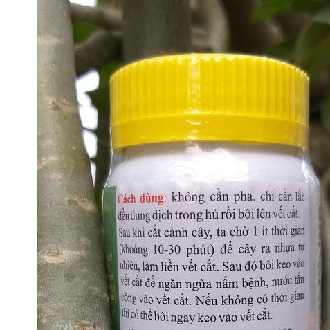 KEO LIỀN DA CÂY TREE SEAL, Keo Liền Sẹo Mỹ, keo liền da morrisons