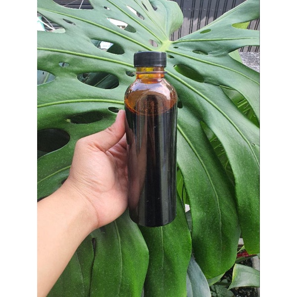 Nước Màu Dừa Xiêm Bến Tre nguyên chất 1 lít