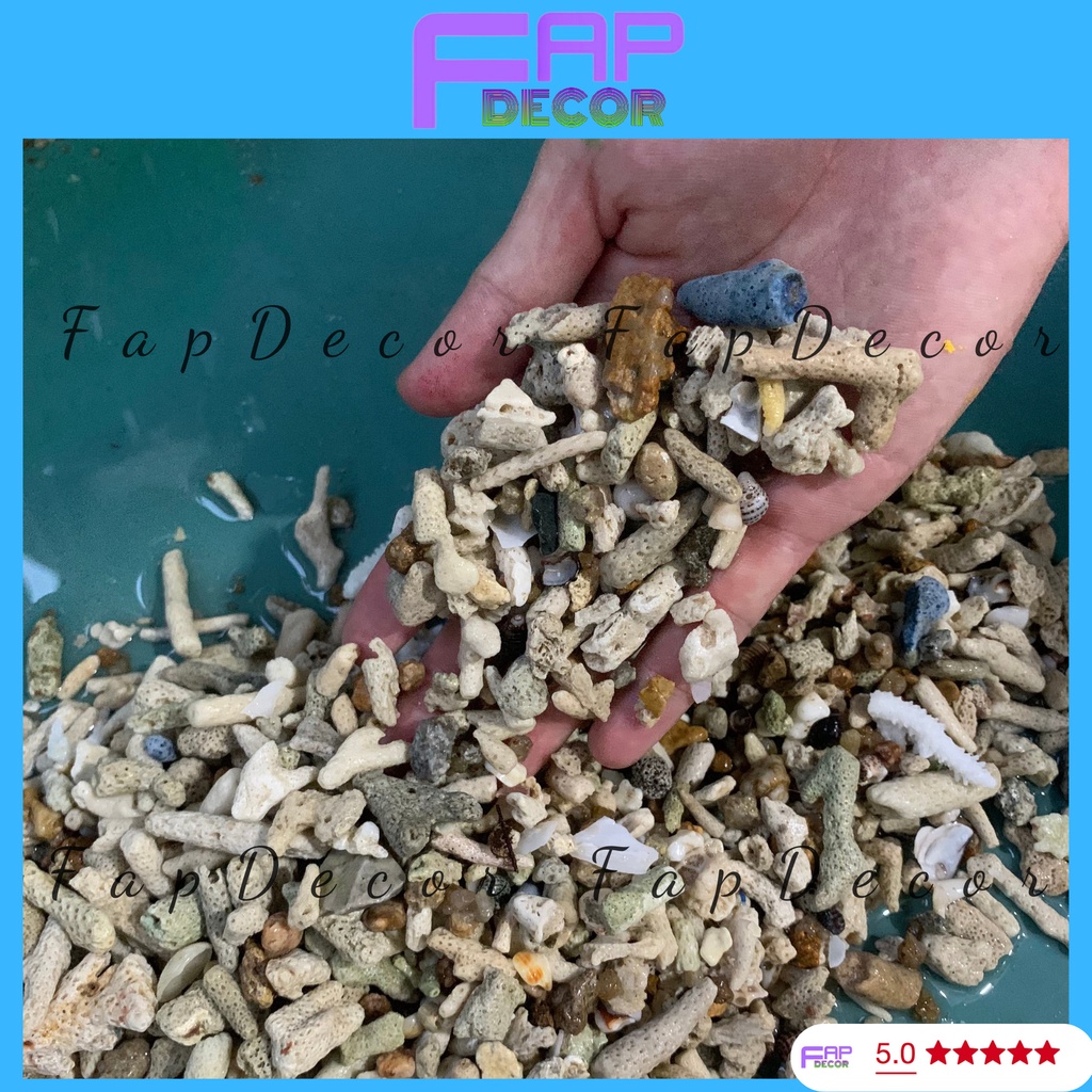 1000GR SAN HÔ VỤN LỌC NƯỚC TĂNG PH TRONG NƯỚC, TRANG TRÍ, TIỂU CẢNH, LÓT NỀN - FAPDECOR