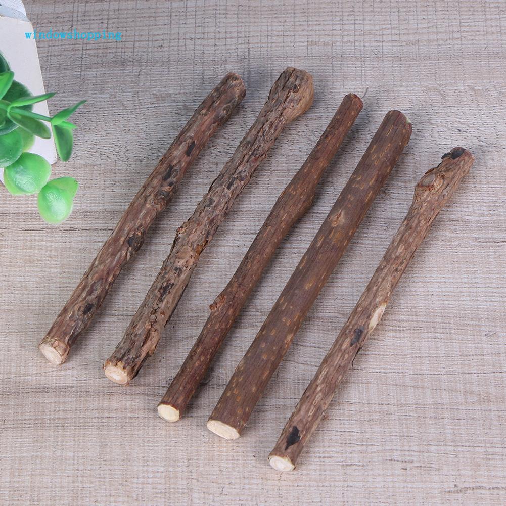 Que gặm chuyên dụng làm sạch răng cho mèo cưng