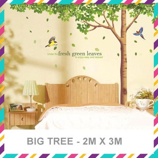 (Size Lớn) Decal dán tường BIG TREE HPM1098 Zooyoo
