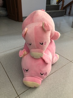 Gấu Bông Heo Lười
