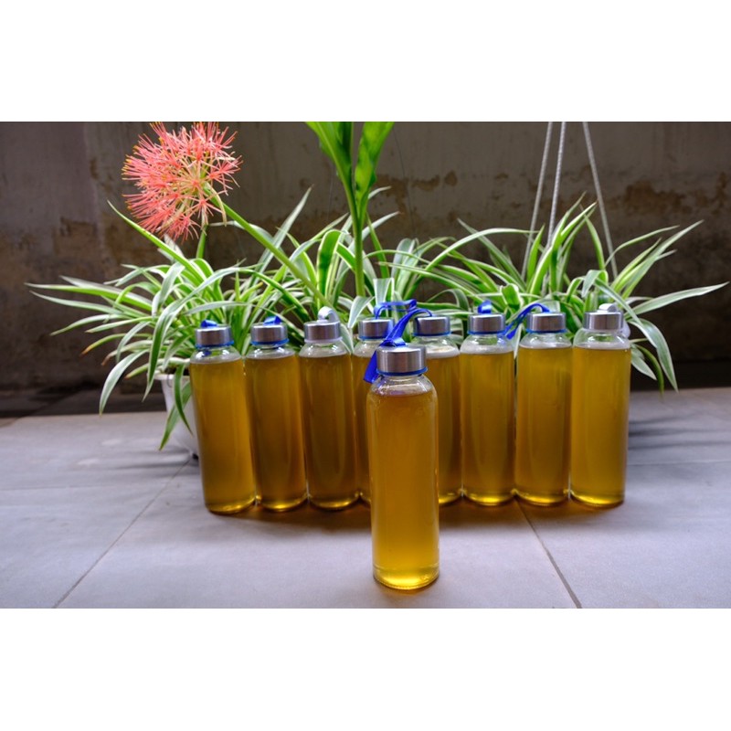 Mật ong rừng thiên nhiên chai nửa lít | BigBuy360 - bigbuy360.vn