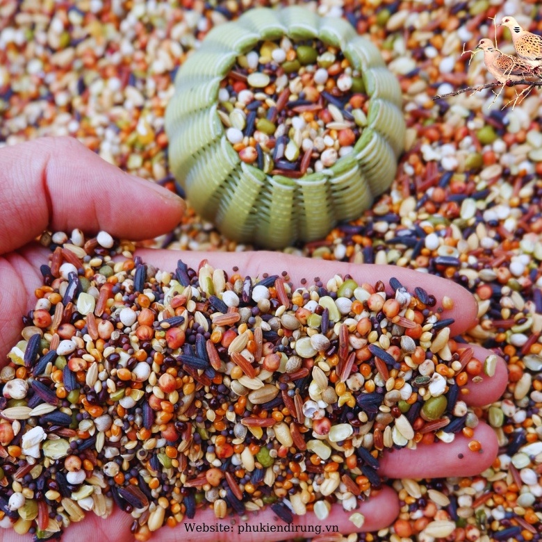Ngũ Cốc Trộn 20 Loại Hạt Cho Chim Cu Gáy