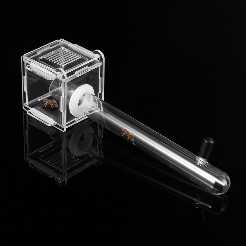 Hộp nuôi kiến/ côn trùng bằng kính acrylic mini tiện dụng