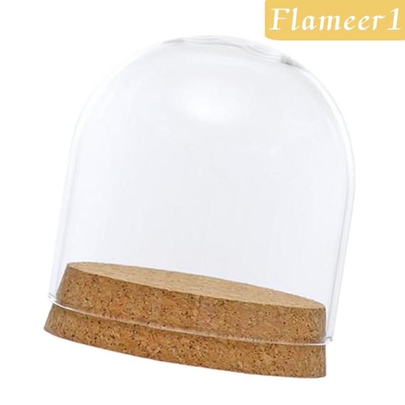 [Flameameer1] Bình Hoa Thủy Tinh Nắp Phong Cảnh Terrarium