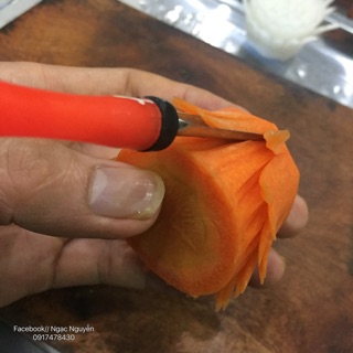 Bộ xúc đỏ , bộ xúc hoa cà rốt