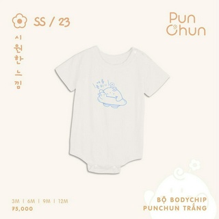 Punchun Bộ body chip SS2023D04