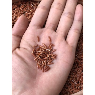 Bột sữa mầm 1kg không đường