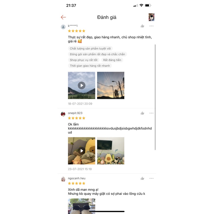 Gấu Bông Cừu Béo Shaun Size 35Cm Siêu Đáng Yêu Hàng Cao Cấp Xuất Siêu Thị