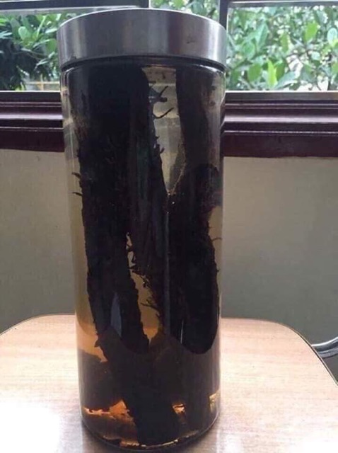 NHỤC THUNG DUNG ĐEN 500g túi zip