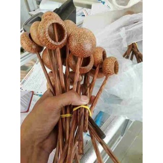 Sỉ 10c gáo dừa múc rượu hàng thủ công mỹ nghệ đẹp