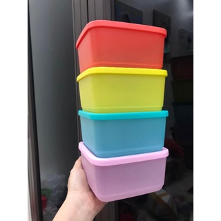 Hộp trữ mát Small Square Round 650ml (1hộp màu ngẫu nhiên)