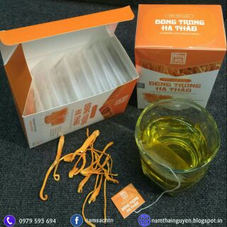 Trà túi lọc Đông Trùng Hạ Thảo CordyHappy
